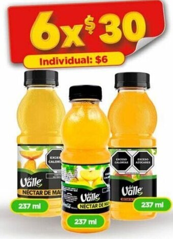 Bodega Aurrerá Valle 237ml oferta