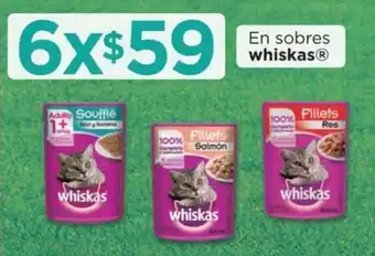 En Sobres Whiskas x 6