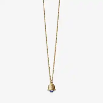 Yanbal Collar etlingera oferta
