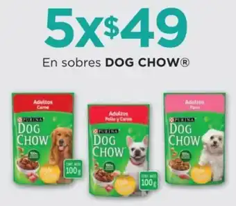 Chedraui En Sobres Dog Chow x 5 oferta