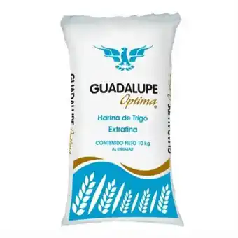 Sam's Club Harina de trigo guadalupe óptima extrafina 10 kg oferta