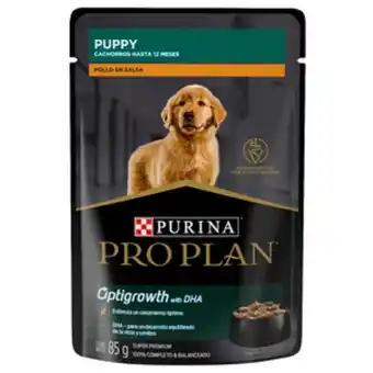 Petco Pro plan alimento húmedo para cachorro receta pollo en salsa, 85 g oferta