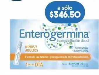 Farmacia San Pablo Enterogermina suspension 5ml 10 suspensión ampolleta bacillus clausii 4000000000 ufc oferta