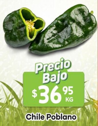 HEB Chile Poblano oferta