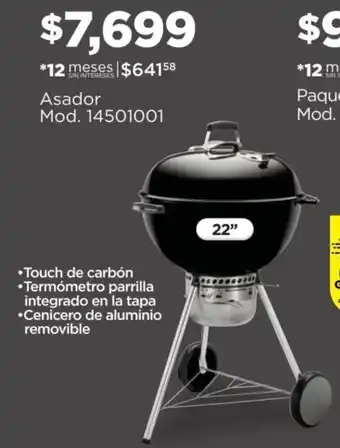 Weber Asador Mod. 14501001