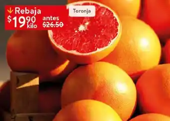 Toronja
