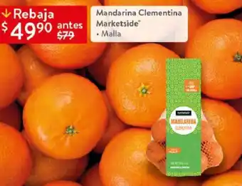 Mandarina Clementina Malla