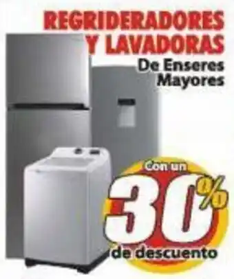 Regrideradores y Lavadoras De Enseres Mayores