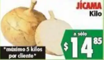 Jícama