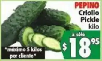Pepino Criollo Pickle