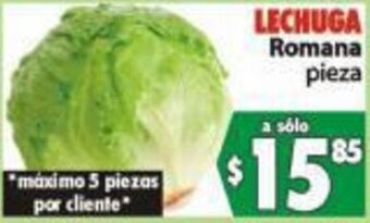 Lechuga Romana Pieza