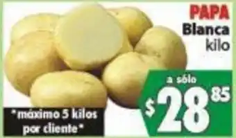 Papa Blanca