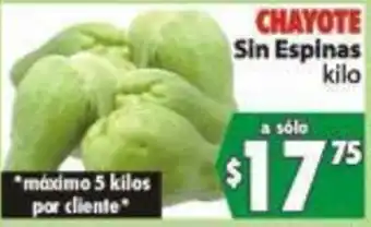 Chayote Sin Espinas