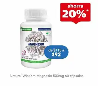 Farmacia San Pablo Natural wisdom magnesio 500mg 60 cápsulas oferta
