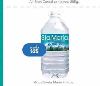 Farmacia San Pablo Agua santa maría 4 litros oferta