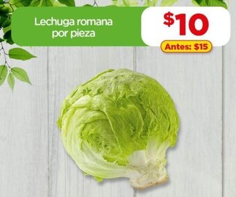 Lechuga Romana por pieza