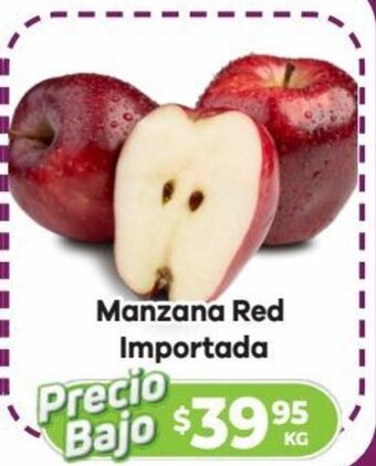 HEB Manzana Red Importada oferta