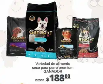 Alimento seco para perro premium ganador