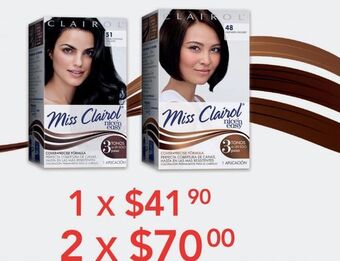 DelSol Tintes y retocadores miss clairol oferta