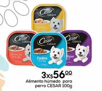 Fresko Alimento húmedo para perro cesar 100g x 3 oferta