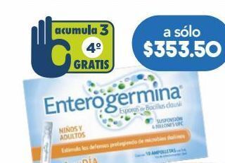 Farmacia San Pablo Enterogermina 4 bufc  amps c/10 oferta