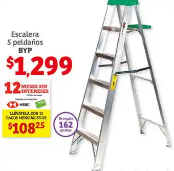 Escalera 5 Peldaños BYP