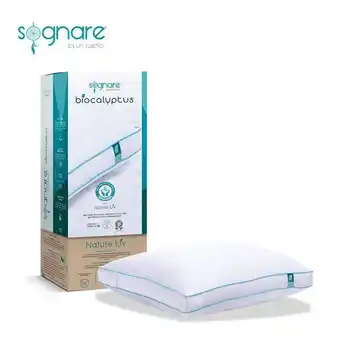 Sognare biocalyptus king semifirme almohada