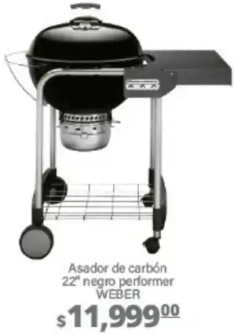 Asador de Carbón 22" Negro Performer WEBER