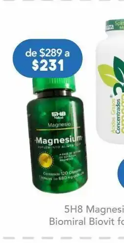 5h8 magnesio 120 cápsulas.