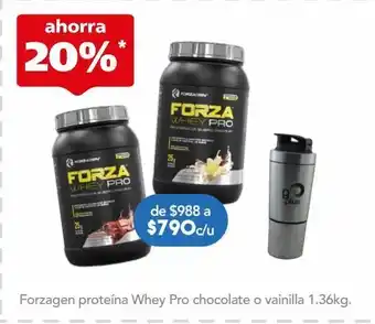 Farmacia San Pablo Forzagen proteína whey pro chocolate o vainilla 1.36kg oferta