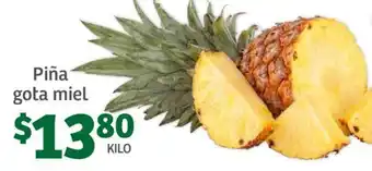 Piña Gota Miel