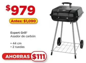 Expert Grill Asador de Carbón 44cm