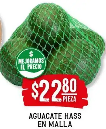 Aguacate Hass en Malla