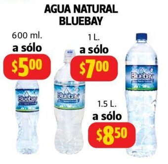 Farmacias Guadalajara Bluebay Agua Natural 1L oferta