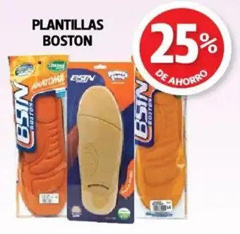 Boston Plantillas