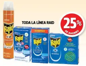 Raid Toda la Línea