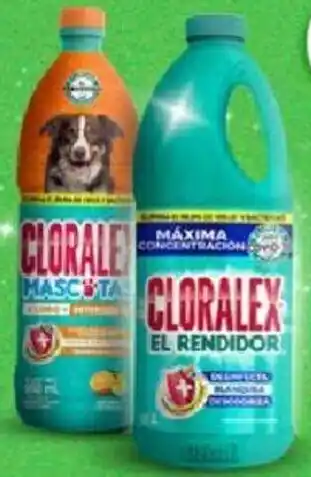 Farmacias Guadalajara Cloralex El Rendidor 2L / Macotas 950ml oferta