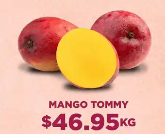 Mango tommy kg