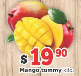 Mango Tommy
