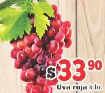 Uva Roja Kg
