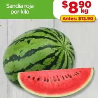 Bodega Aurrerá Sandia Roja oferta