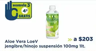 Aloe vera loev jengibre/hinojo suspensión 100mg 1lt