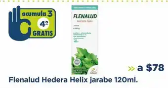 Flenalud hedera helix jarabe 120ml