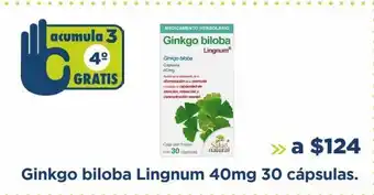 Farmacia San Pablo Ginko biloba lignum 40mg 30 cápsulas oferta