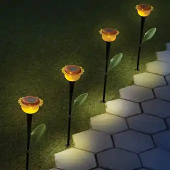 Girasol solar