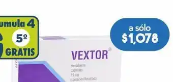 Farmacia San Pablo Vextor 75mg 30 cápsulas. oferta