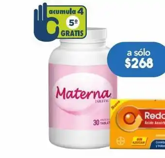 Farmacia San Pablo Materna 1000mcg 30 tabletas oferta