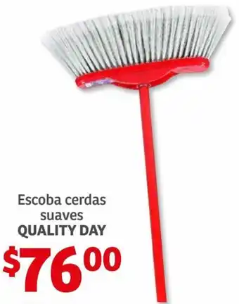 Soriana Híper Quality Day Escoba Cerdas Suaves oferta