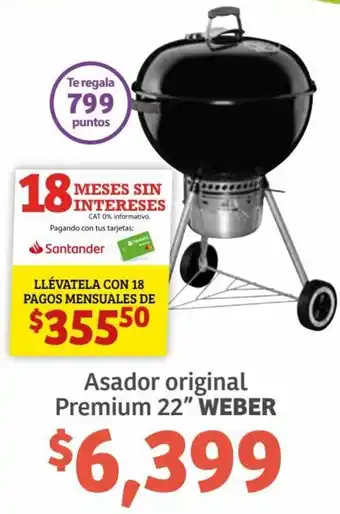 Weber Asador Original Premium 22"