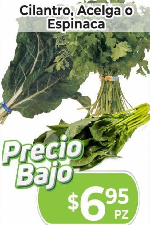 HEB Cilantro, Acelga o Espinaca oferta